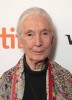 photo Jane Goodall