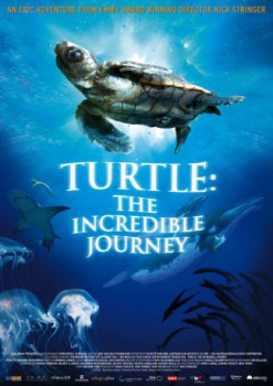 poster Tortuga - Die unglaubliche Reise der Meeresschildkröte
