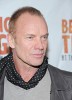 photo Sting
