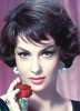 photo Gina Lollobrigida