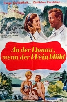 poster An der Donau, wenn der Wein blüht