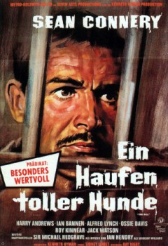 poster Ein Haufen toller Hunde