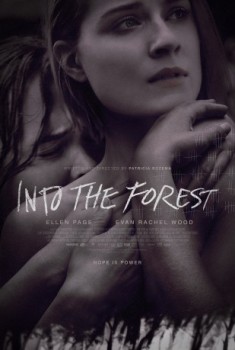 poster Into the Forest
