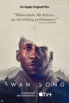 poster Schwanengesang