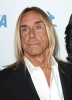 photo Iggy Pop