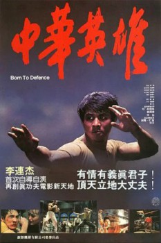 poster Final Fight (Born to Defence)