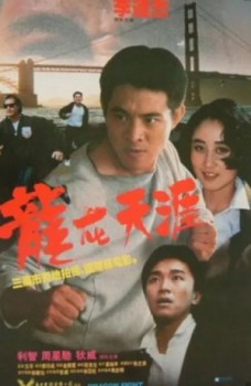 poster Dragon Fight (Defector: Karate-Kickboxer)