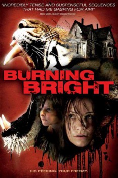poster Burning Bright