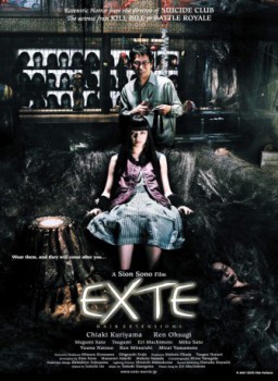 poster Exte: Hair Extensions