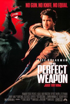 poster Eine perfekte Waffe