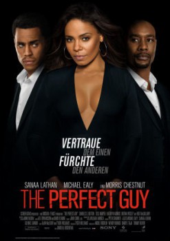 poster The Perfect Guy