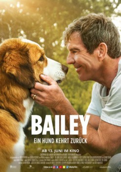 poster Bailey - Ein Hund kehrt zurück