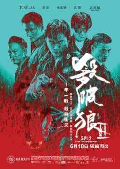 poster Lethal Warrior