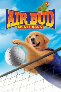 poster Air Bud 5 - Vier Pfoten schlagen auf