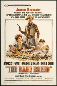 poster Rancho River