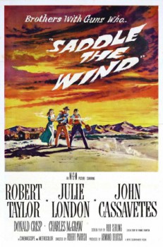 poster Vom Teufel geritten