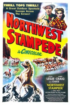 poster Silberkönig - Northwest Stampede