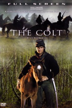 poster The Colt - Entscheidung im Bürgerkrieg
