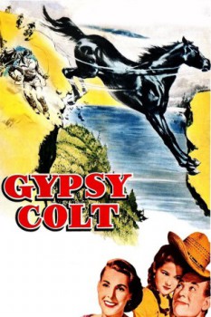 poster Treue - Gypsy Colt